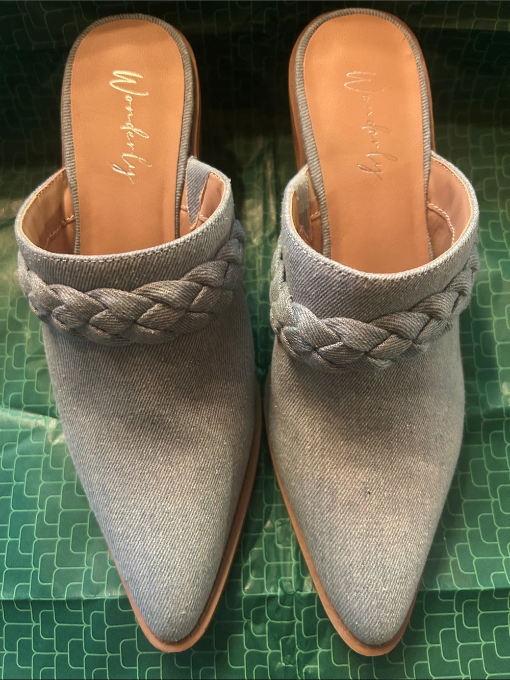 Wonderly Light Blue Braided Pointed-Toe Denim  Mules